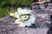 Blumen für die Braut